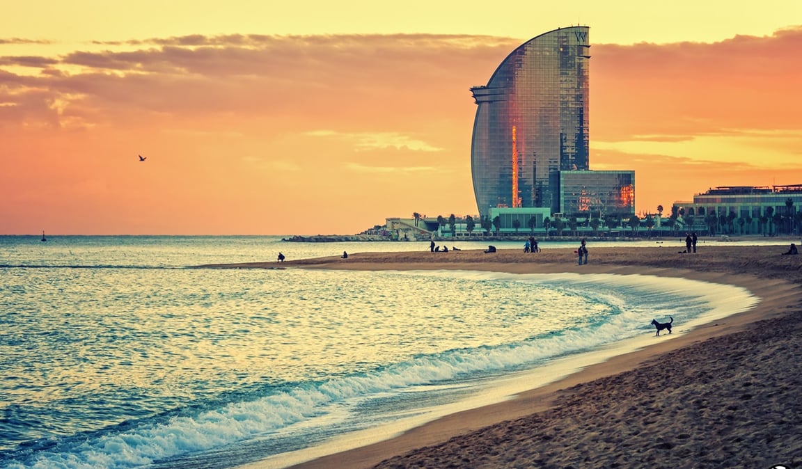 Sunset Boulevard: Barcelona Edition