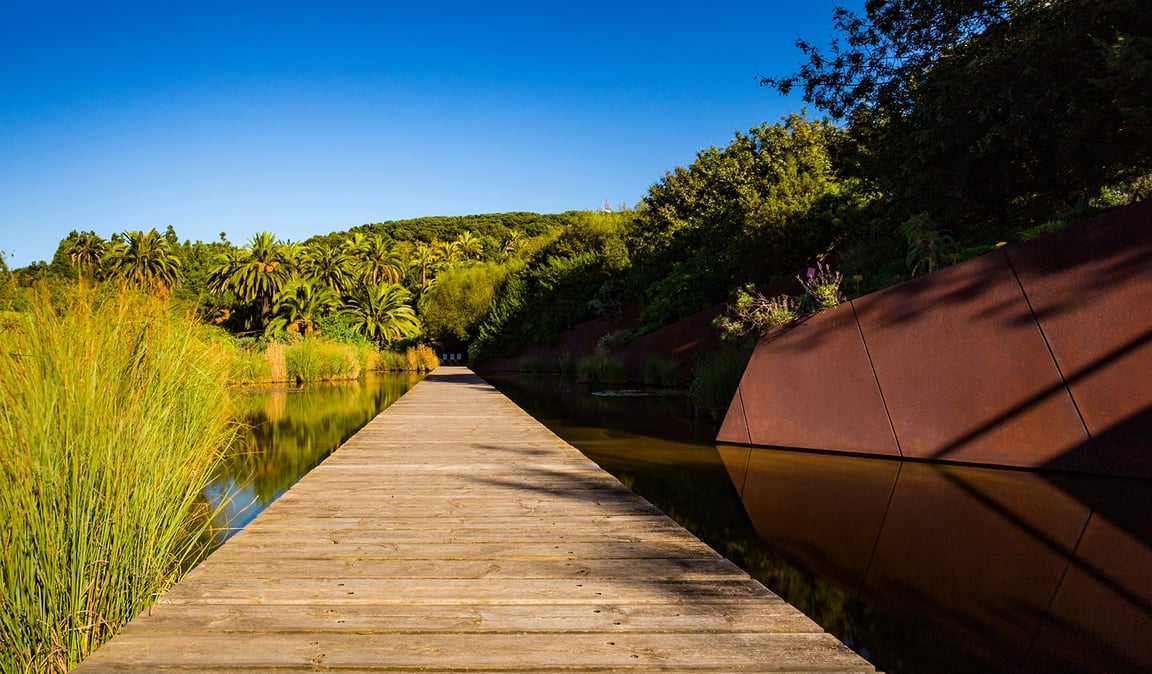 Relax in Barcelona: Chill Out & Let Go