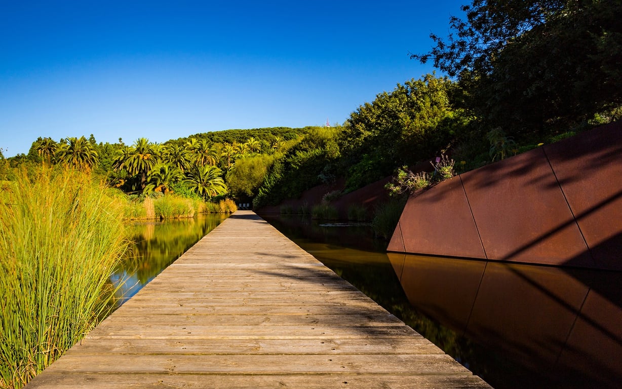 Relax in Barcelona: Chill Out & Let Go