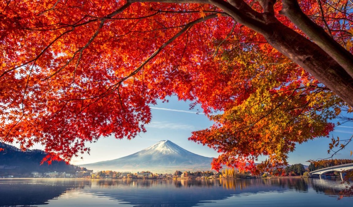 Autumn in Western Tokyo