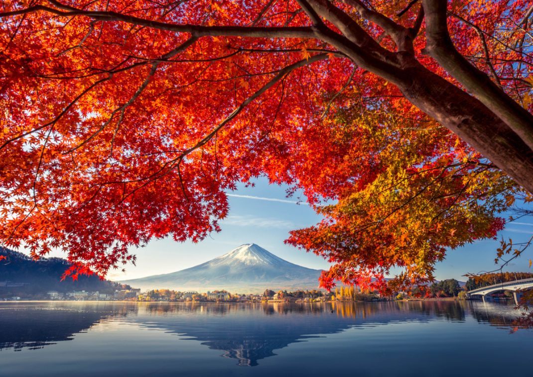 Autumn in Western Tokyo