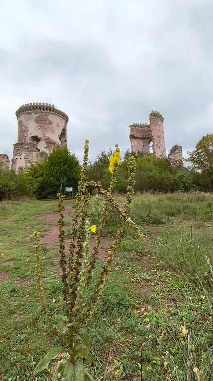 Chervonohorod Castle