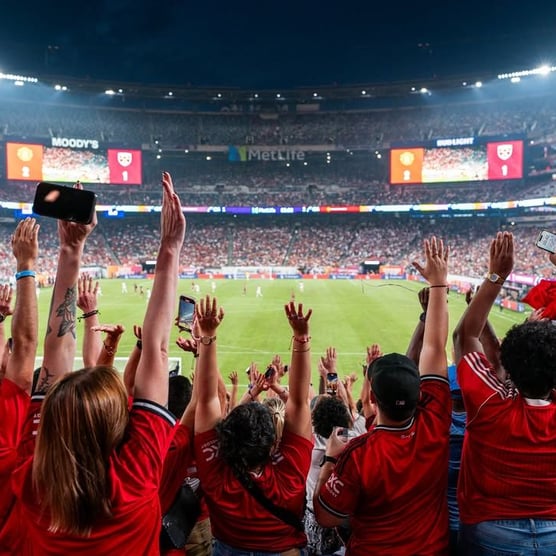 New York: Fan Zones