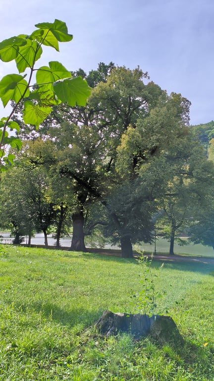 Zalishchyky. The History of the Brunitsky Park and Estate.