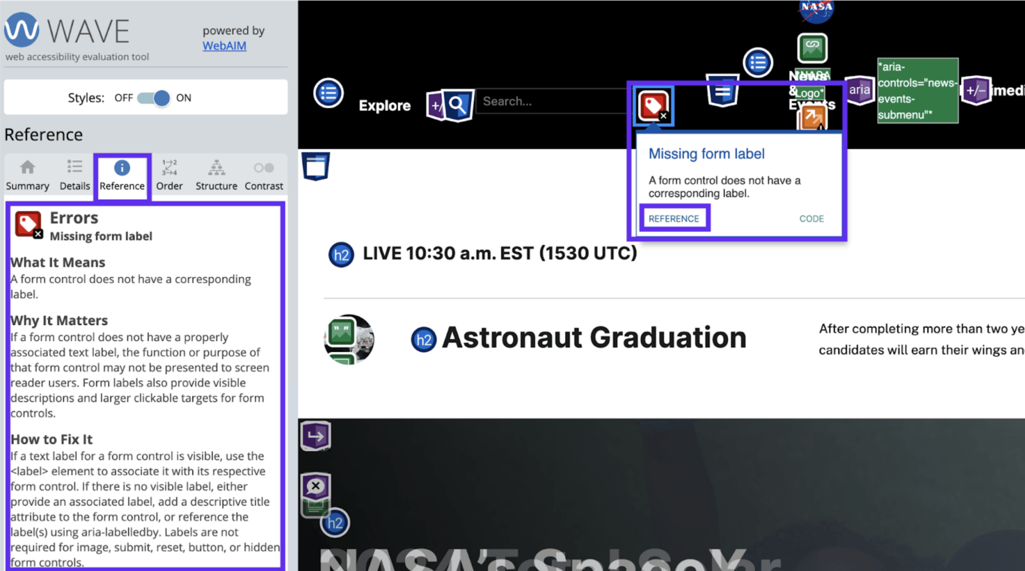 Screenshot image of WAVE tool showing information provided by WAVE. The icon system is on the right side.