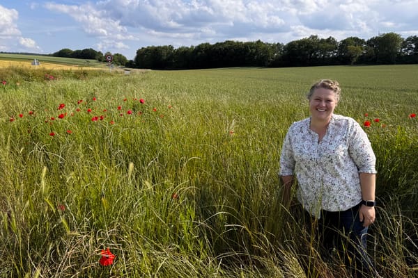 Woman standing in a lush green field dotted with red poppies under a blue sky in the French countryside