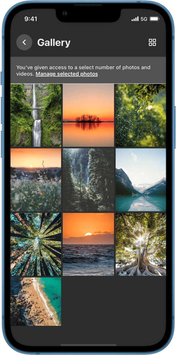 iOS preview for Dark Mode Gallery Screen