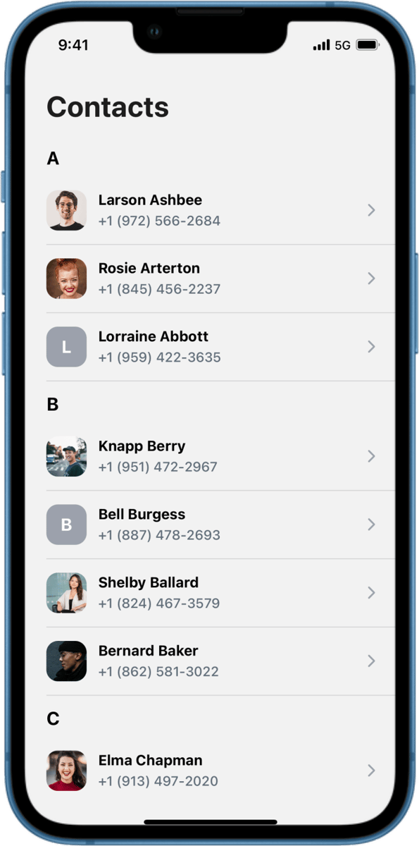 iOS preview for Two-Line List with Rounded Thumbnails with Subcategories