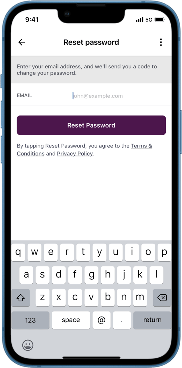 iOS preview for Inline Forgot Password Form