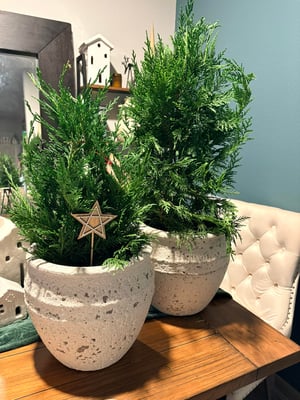 599514477_1262431909262151_2403959221331686946_n