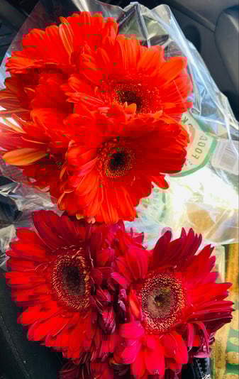 3ED269C9-8637-4282-BEF5-6F451038BFD2