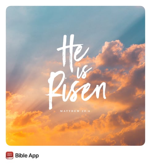 3BDC892A-9B30-4F85-8247-65F746DE0482