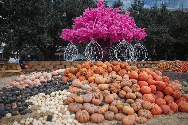 CC886C09-9084-46C7-9C79-A0941850A96A