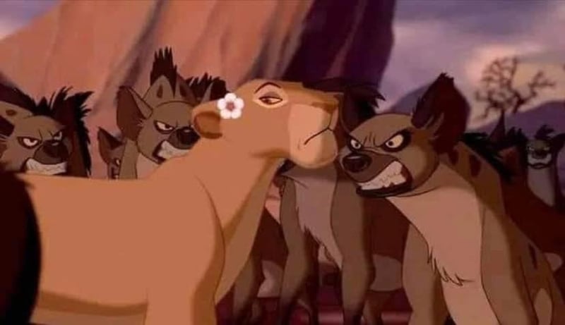 B39E1F86-9CF9-4353-9F35-85B1D46AC385