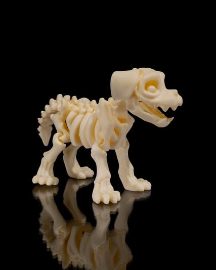 Skeleton_Dog5_44402bf536