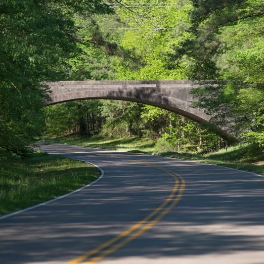 229E29B6-2696-485D-8D70-DE801F8A9B89