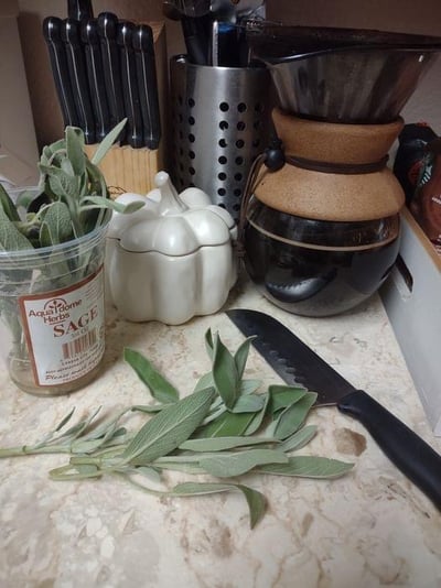 D5AFD687-D1A9-40A3-8598-BFEE340CA246