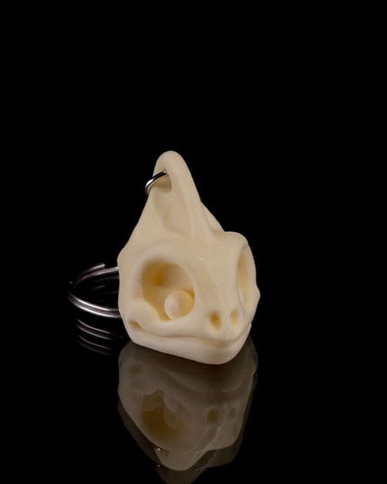 Skeleton_Keychains3_cecd816066