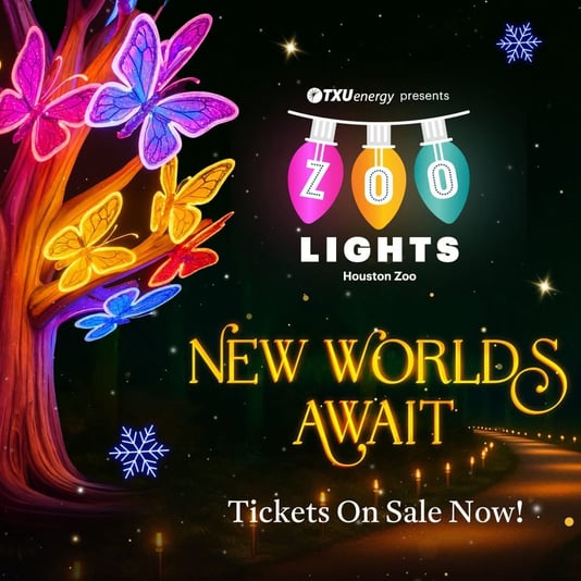 7C14984B-8988-4278-BAF3-1084958F698B