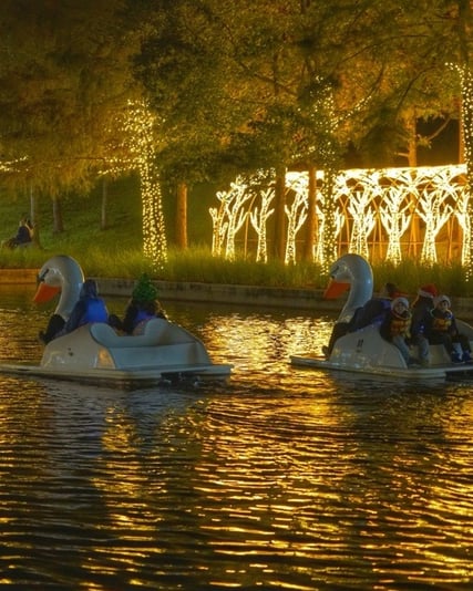 598100429_1294206842726107_7328522017563864869_n