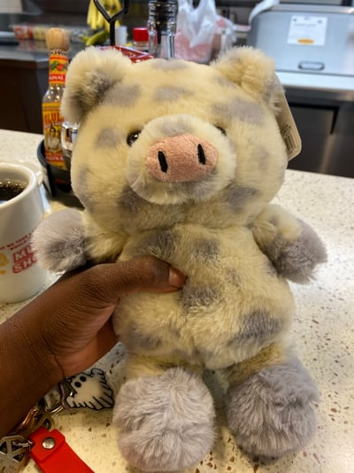 1F1BBF0A-85C0-4E8D-963A-C1229B3DAB91