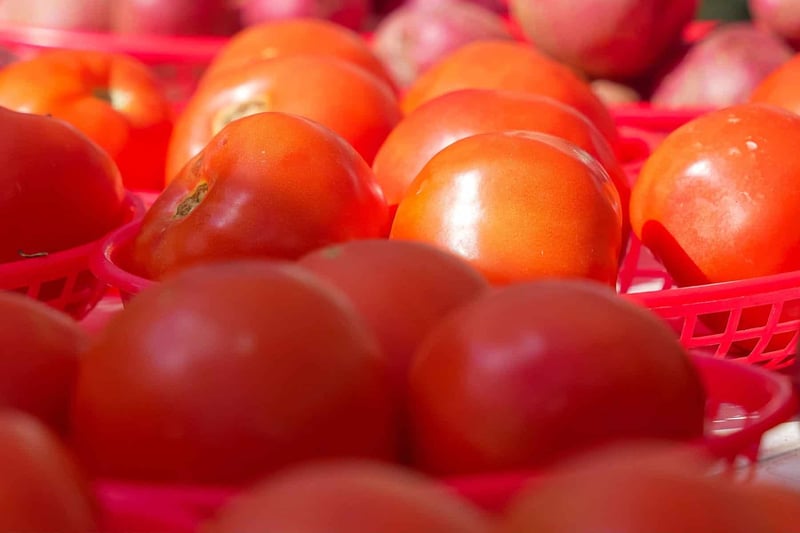 42079226-3aab-4599-ae6e-90f13bea7329_1800x1200