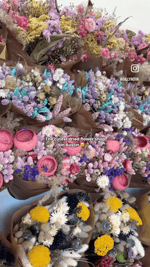 DDEA8585-55A2-4A34-A1D9-A0AD9D7EFE61