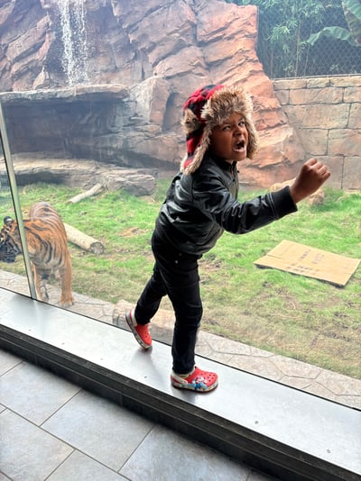 473A0BBA-94D0-424D-96D2-C3E6F86FBF2B