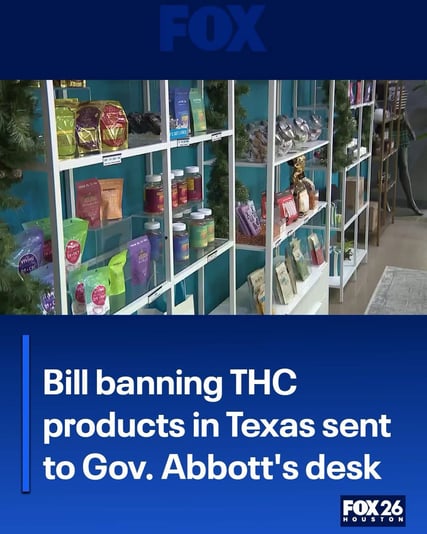 4FAB332A-F4CD-4619-98ED-B81C7FDB1446