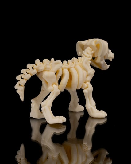 Skeleton_Dog4_9c9bcb5e37