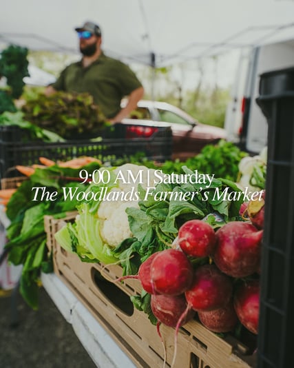 533372229_18520738477027741_9162593663425858680_n