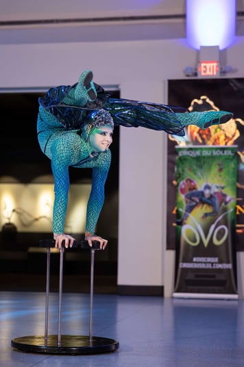 554437927_1244232287744313_8850299796938681712_n