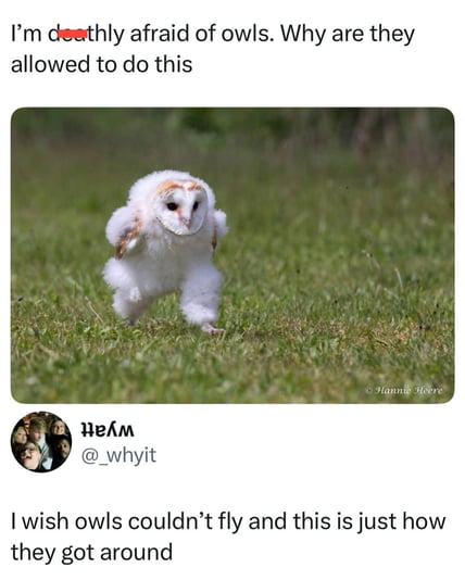 00E5E600-0ACF-4081-8639-C9FA927849CF