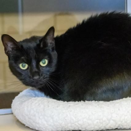 29E6D1FC-E93B-4638-B6EF-FEA4BD106A2C