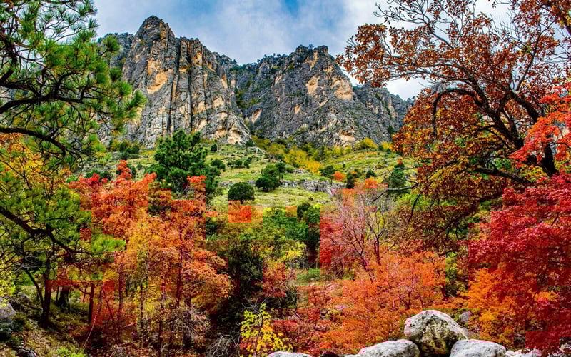 812B861D-4EC2-4DF6-B2C0-15C6525A1501