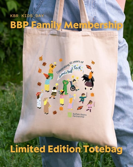 558378622_1238018278358219_2022267452361617460_n