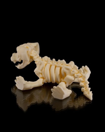 Skeleton_Dog7_e7a0c88a04