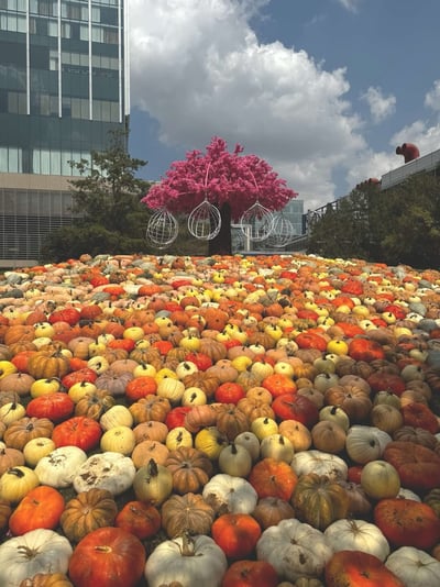 973109B1-D226-4EC7-A993-8B170B4E21C1