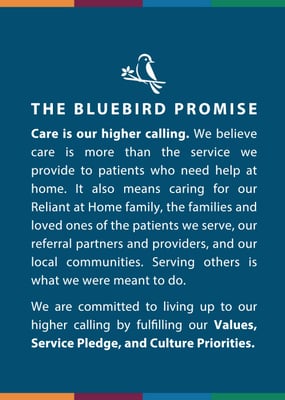 reliant-bluebird-promise-graphic