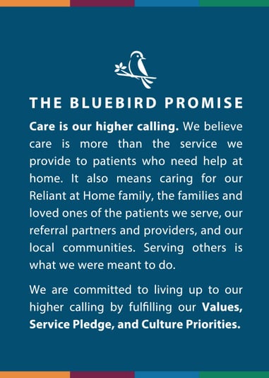 reliant-bluebird-promise-graphic
