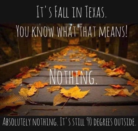 55AEEC20-24F3-4011-A719-8E8D3A6E74FA