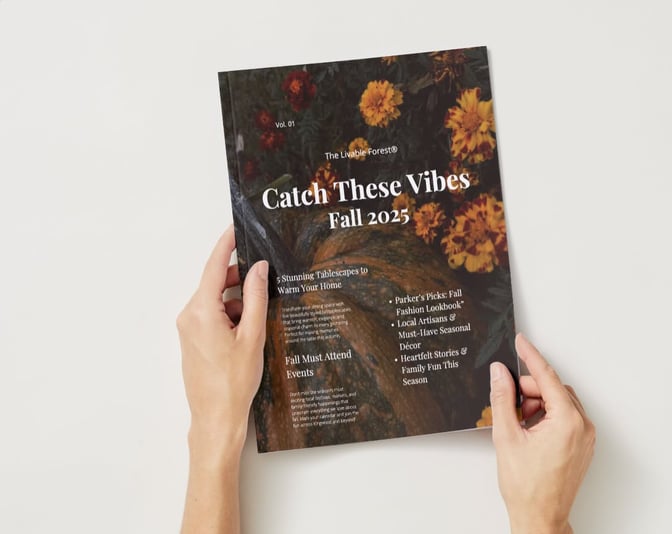 515615601_1132228965615780_8010576396753863255_n