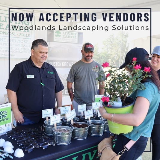 530538773_1184060703751330_7146217320133064136_n