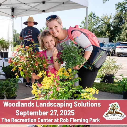 DAF80DC8-A098-4009-8384-8309409C2D6E