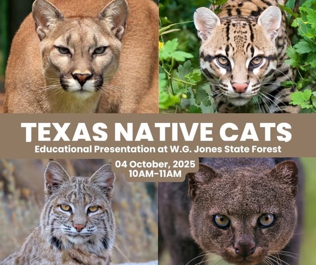 E25A62C5-4B62-4CC2-82D3-2E5334CD27B5