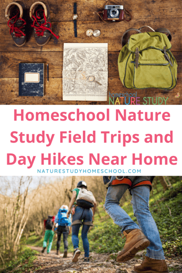 Homeschool-Nature-Study-Field-Trips-and-How-to-Find-Day-Hikes-Near-Home-683x1024