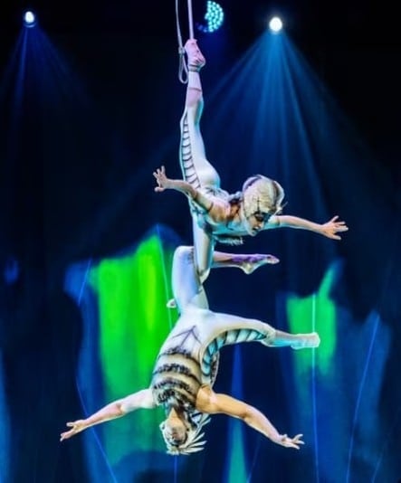 554479560_1244232324410976_1894437950933893323_n