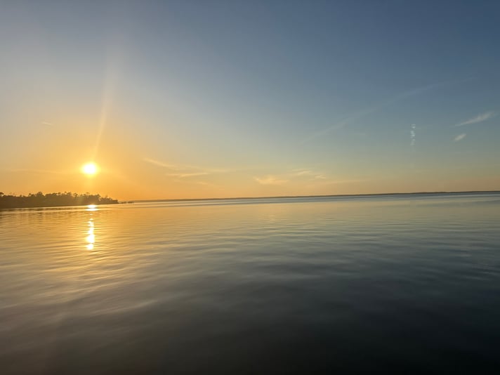 61023BDD-F21F-4022-B575-1AF1AAAFE386