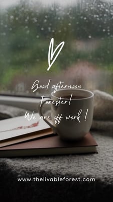 A226632F-D2F7-4658-8D93-02BE31433DBE