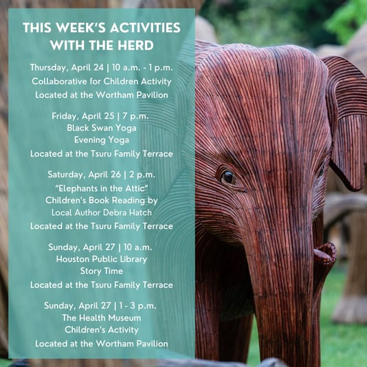 491998718_1103222041838746_8187551723380514911_n